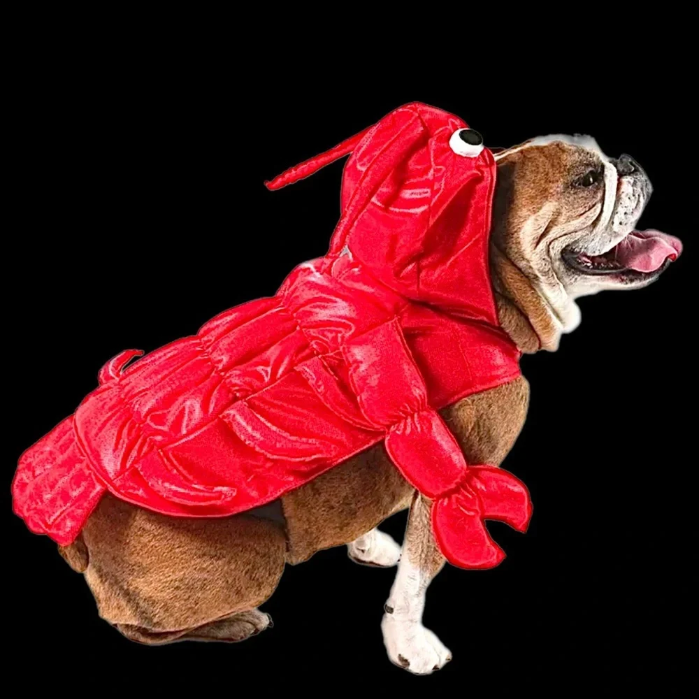 PET LOBSTER COSTUME NWT